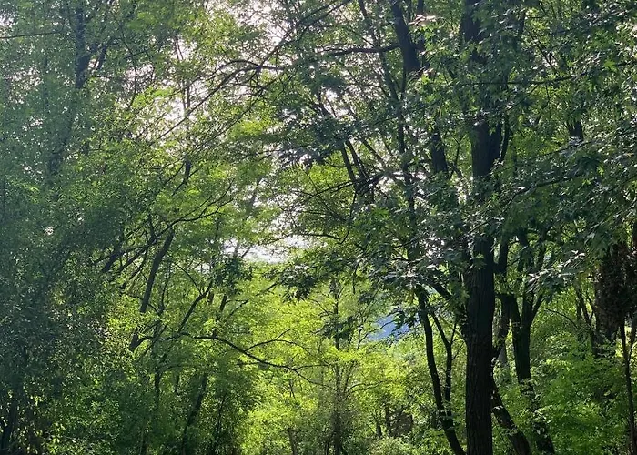 Vár-camping * Sirok